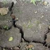 Expansive Soil Northeast Arkansas & Southeast Missouri